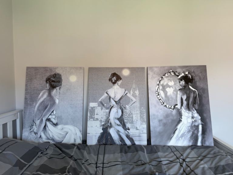 Canvas x 3 