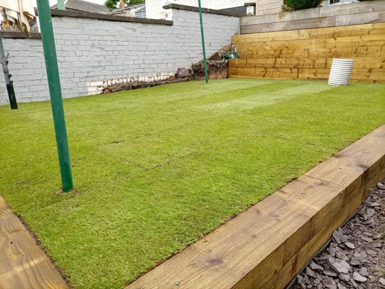 Dm Garden Service 