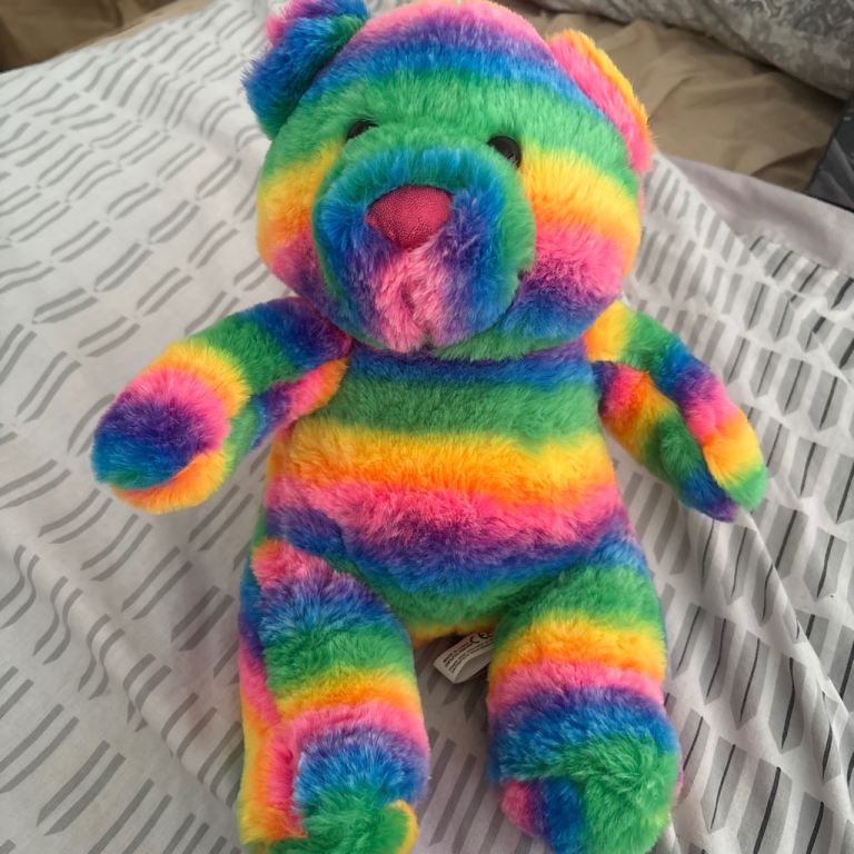 Colourful Rainbow Striped Plush Teddy Bear