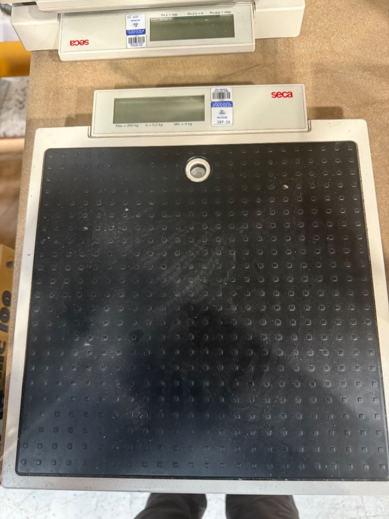 image for Seca scales 