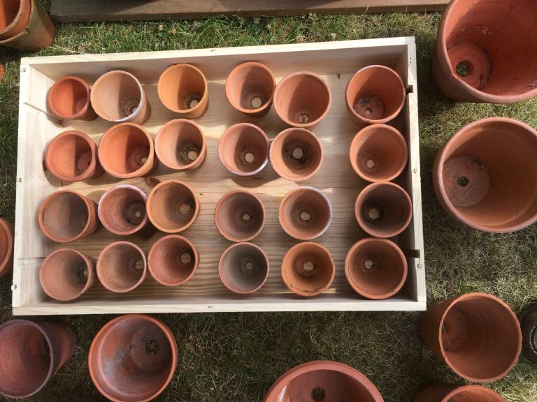 Selection of small and medium vintage terracotta pots
