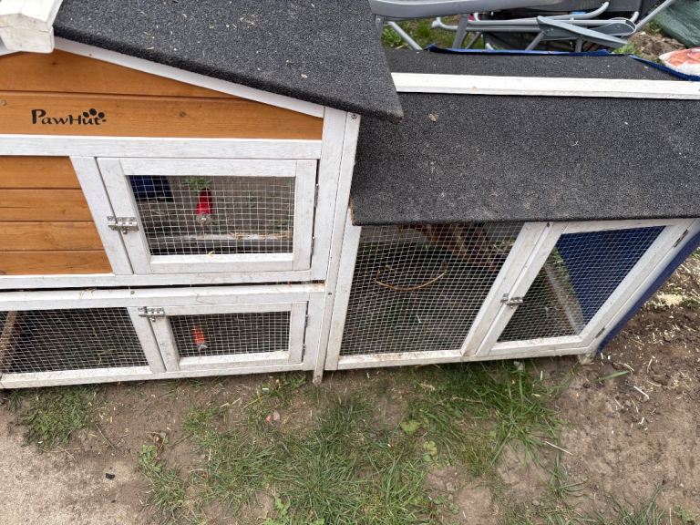 Rabbit hutch bundle 