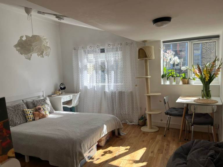 SPACIOUS studio flat near haggerston station E84AA