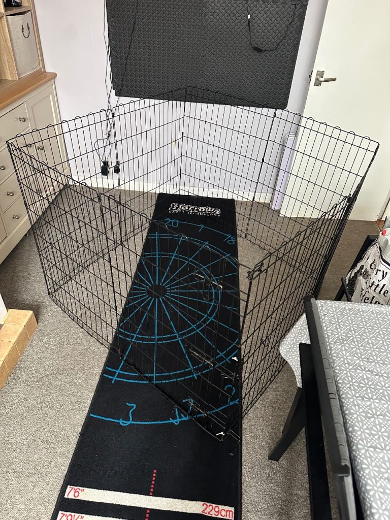 Dog pen 