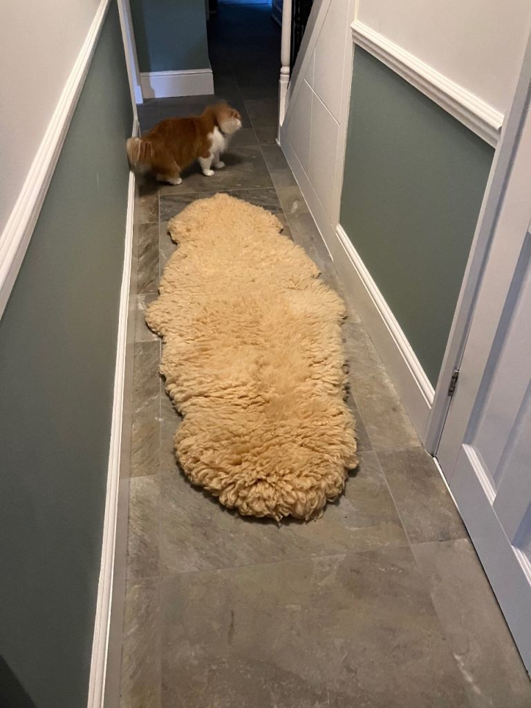 Genuine Sheepskin Rug