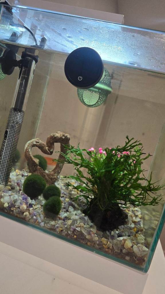 20L Nano cube fish tank 