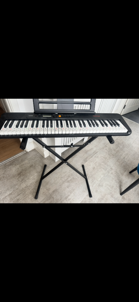 Casio Electronic Keyboard + Stand – £30