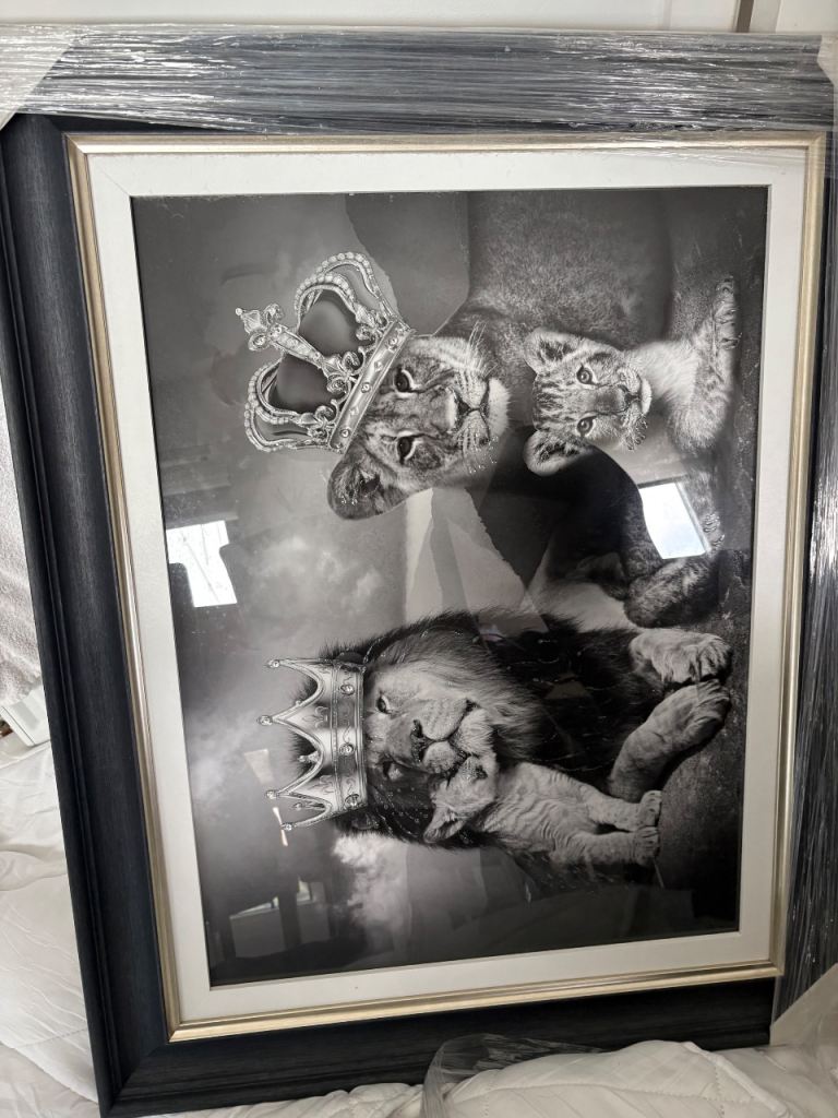 Large Black & White Lion Family Framed Picture with Crowns