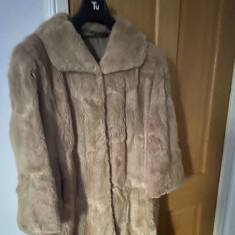 Vintage fur coat £30