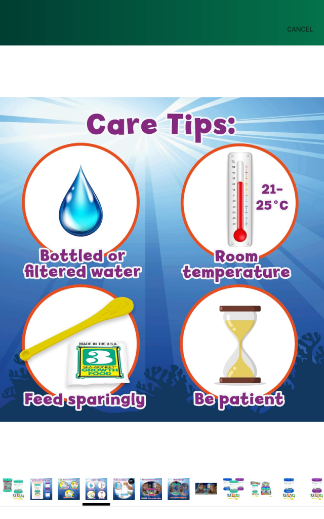 The Original Sea Monkeys