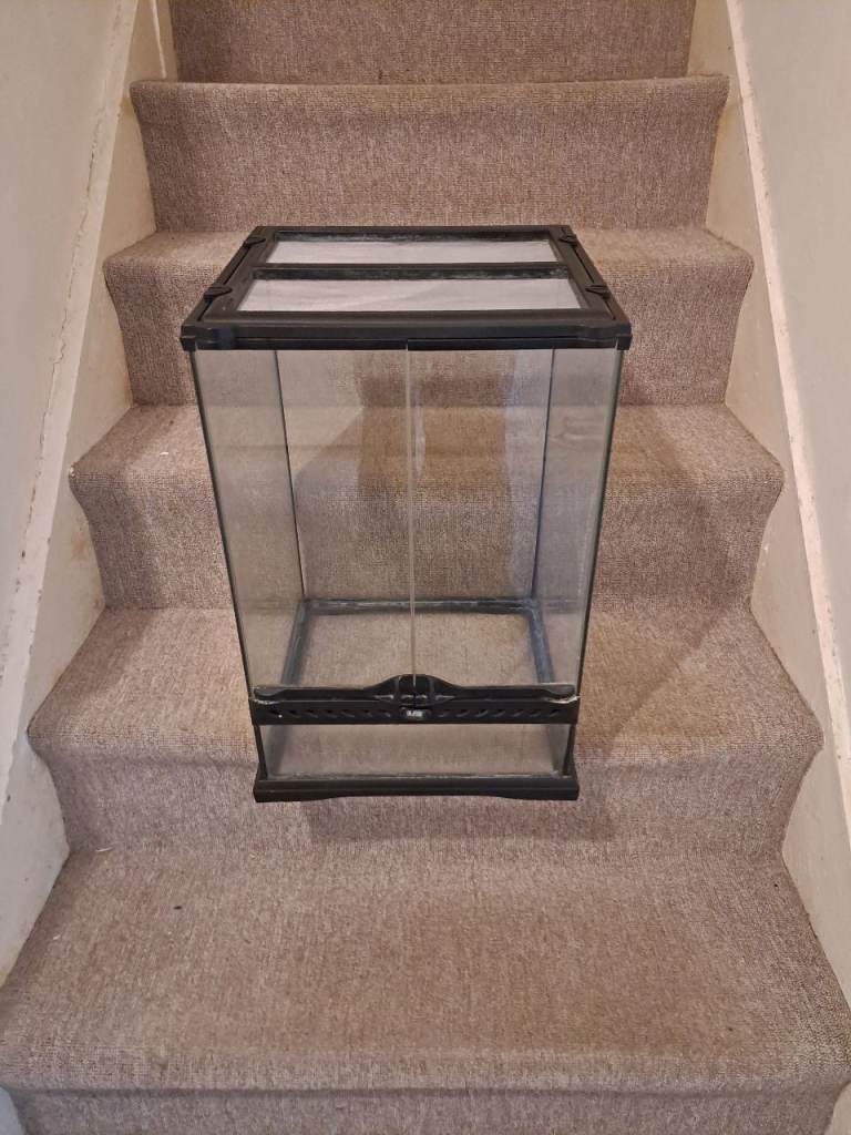 exo terra arboreal solid glass cage 