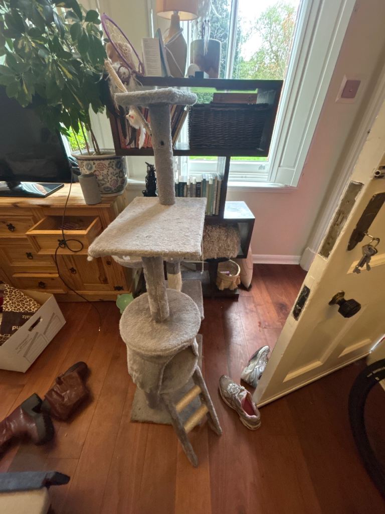 Cat tree FREE