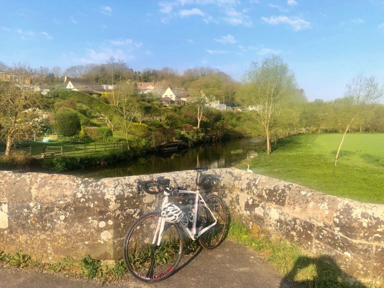 For Sale Specialized Roubaix Elite Road Bike