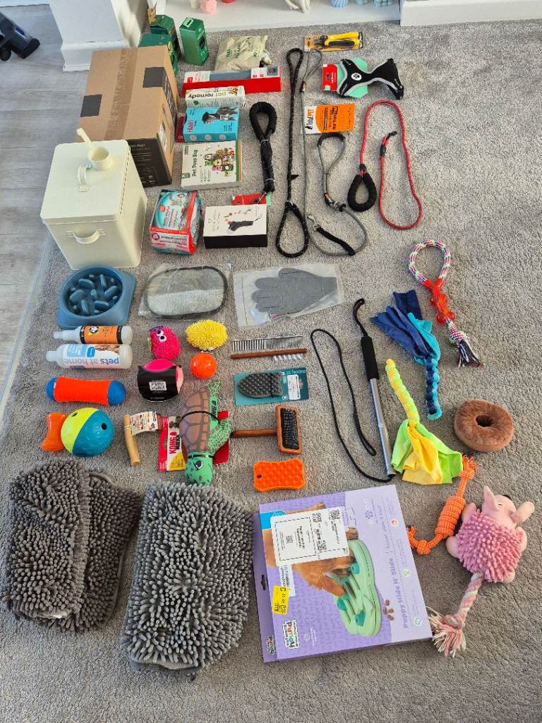 Dog toys, leads, brushes, other accessories 