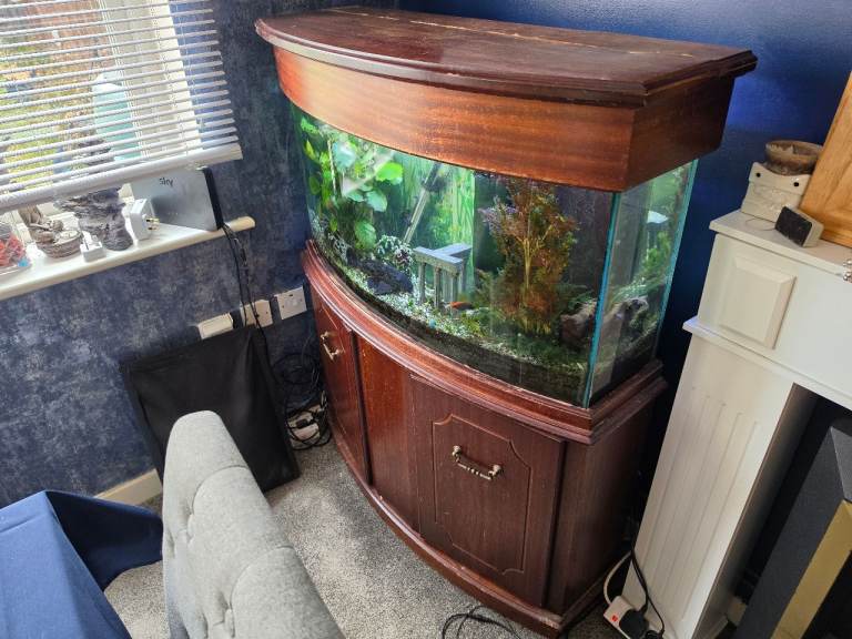 Large Curved Bow-Front Tropical Aquarium Complete Setup – Solid Wood Cabinet