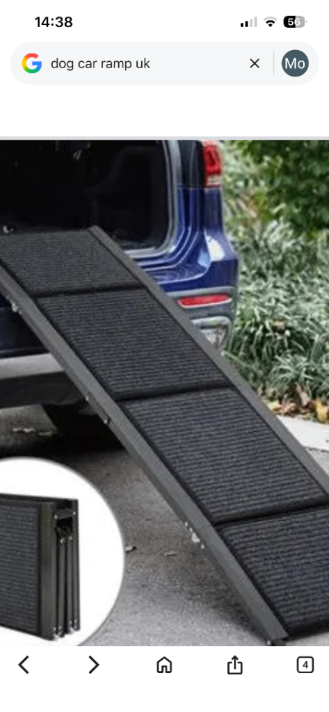 Non slip car ramp 