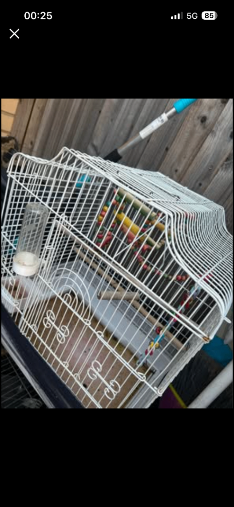 Bird cage