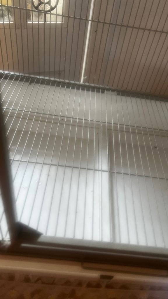 Rainforest Santa Fe parrot cage budgie cage 
