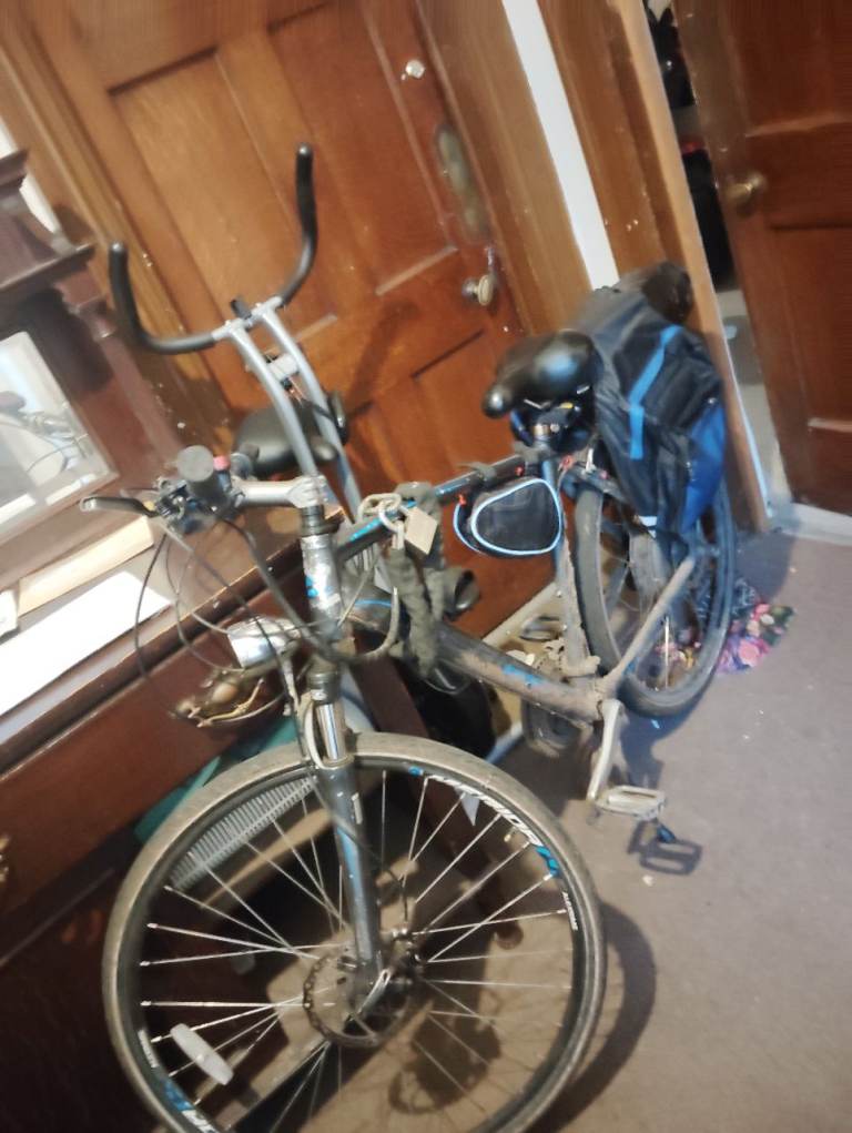 Electric bike branded