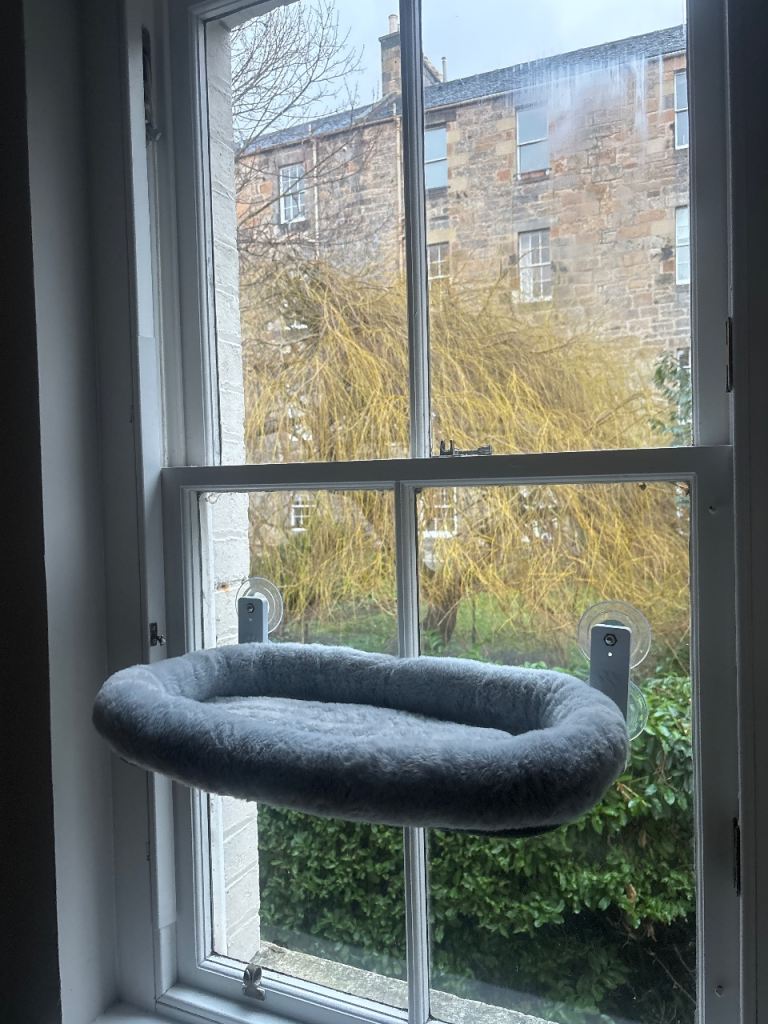 Free - window pet bed