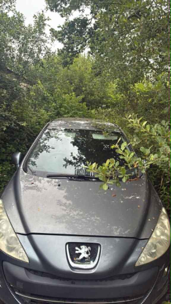 Peugeot, 308, Hatchback, 2010, Other, 1560 (cc), 5 doors