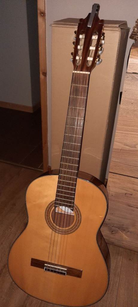 Acoustic guitar 