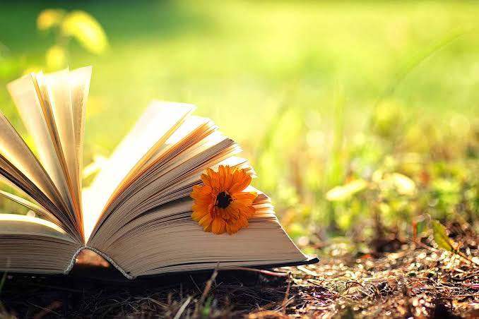 Experienced Teacher Available for Tutoring National 5 and Higher English