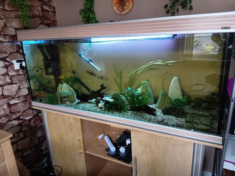 Very large aquarium and stand 
