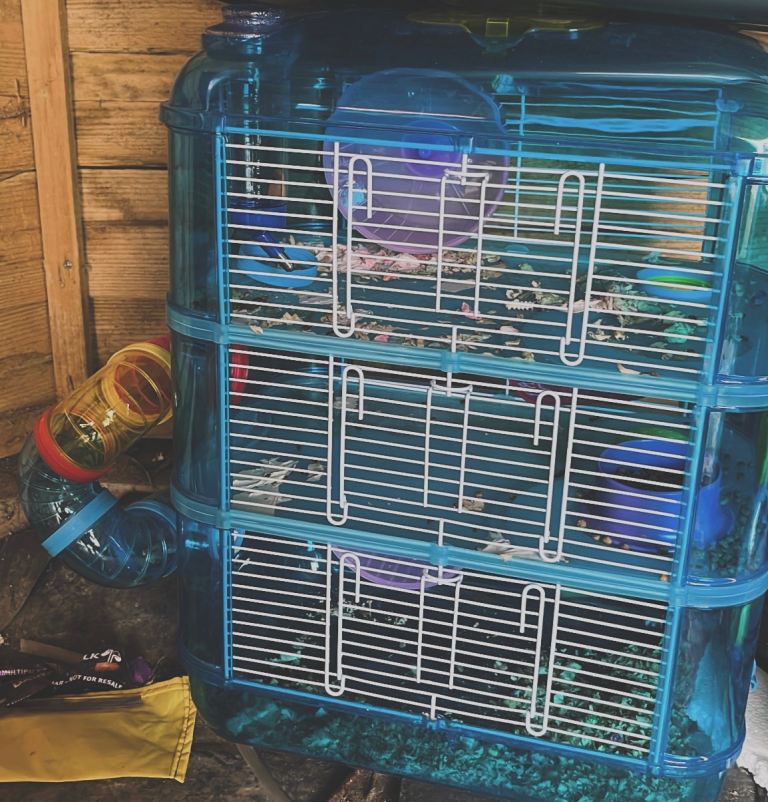 blue hamster cage