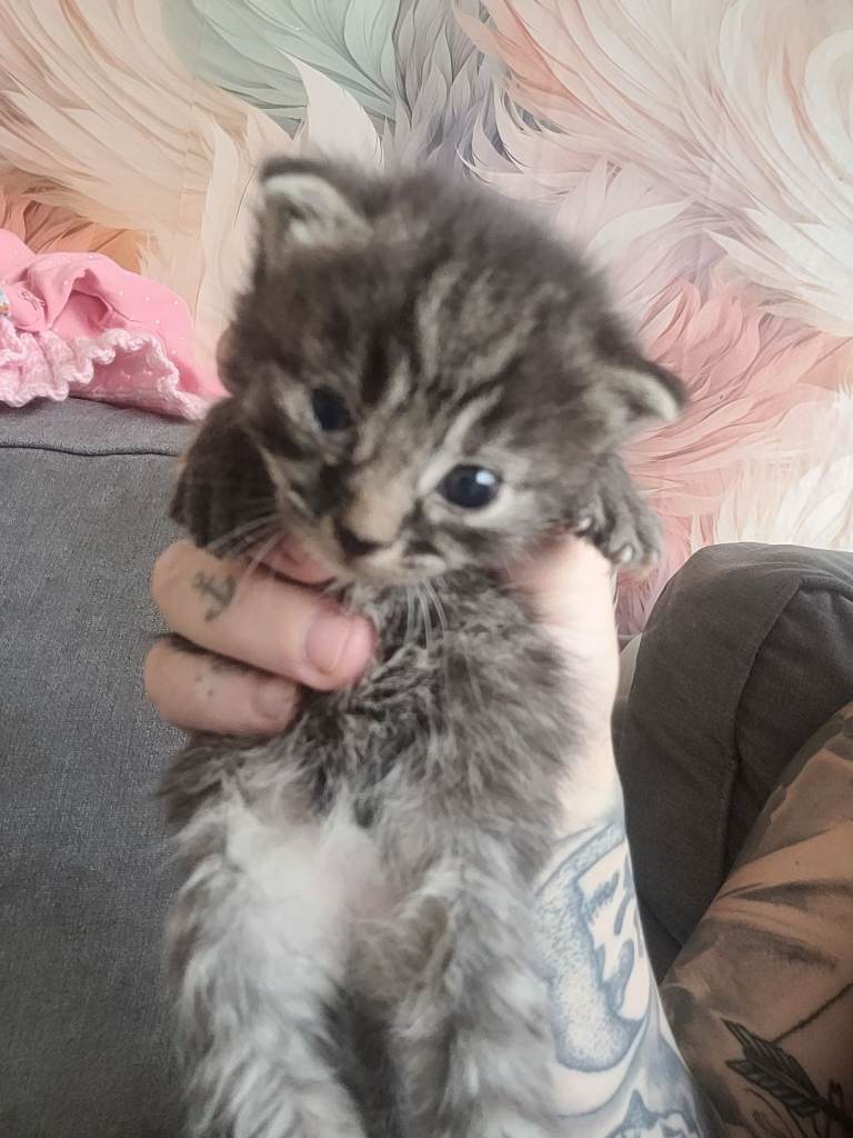 2x female and 3 males left :)