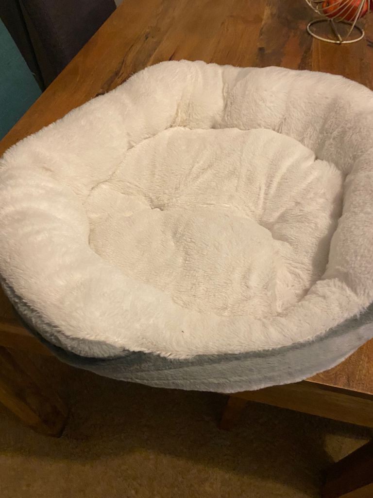 Pet Cat Bed