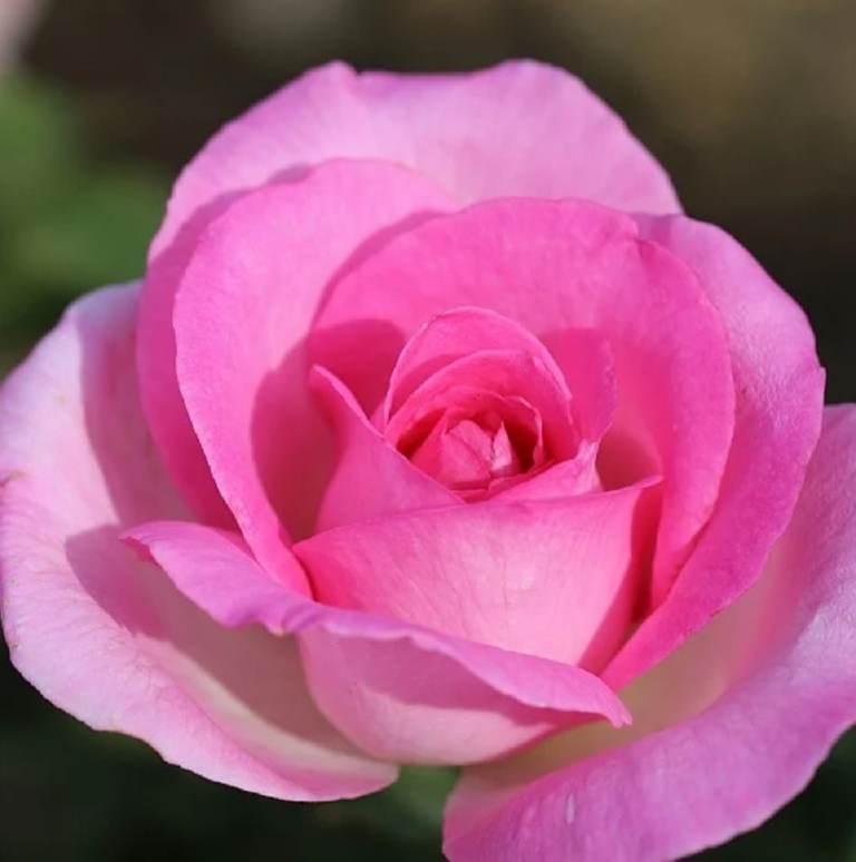 ⭐ Relaxing Massage – Stress Relief & Pure Comfort