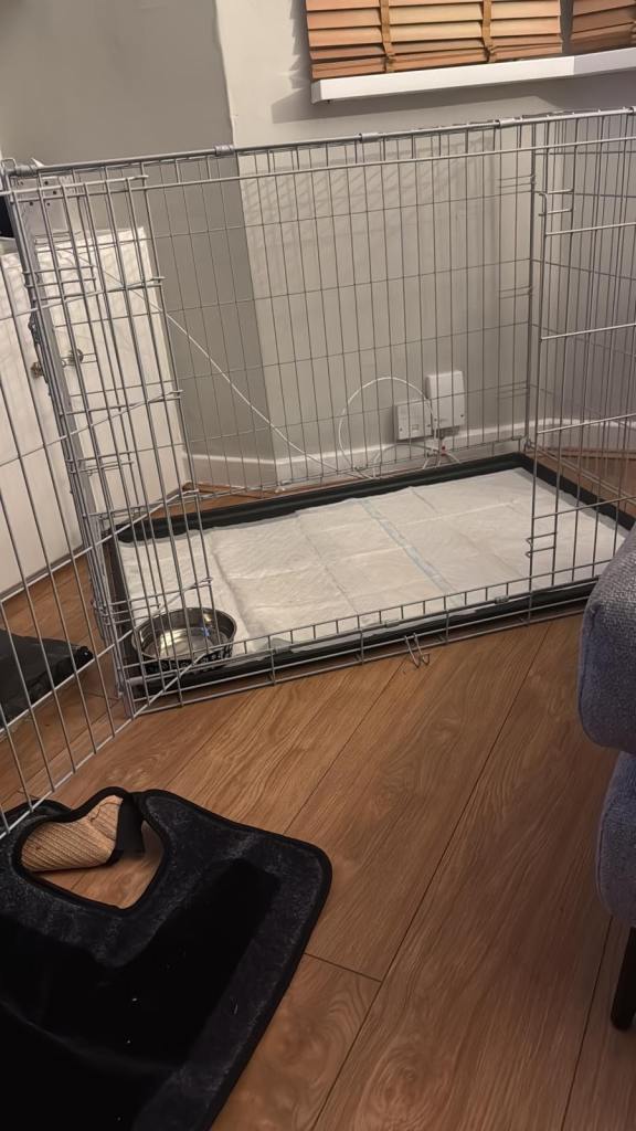 XL Large Dog Crate