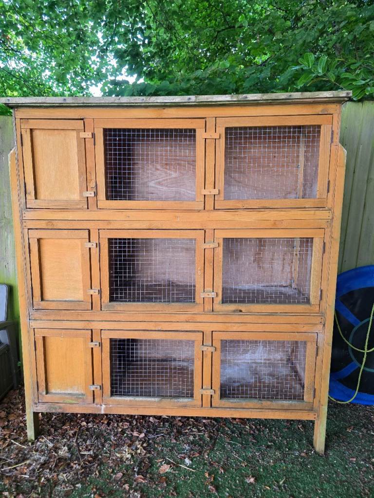 Rabbit cages 