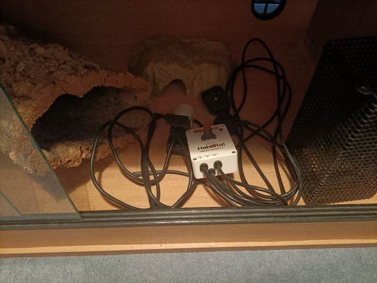 Wooden vivarium with equipment