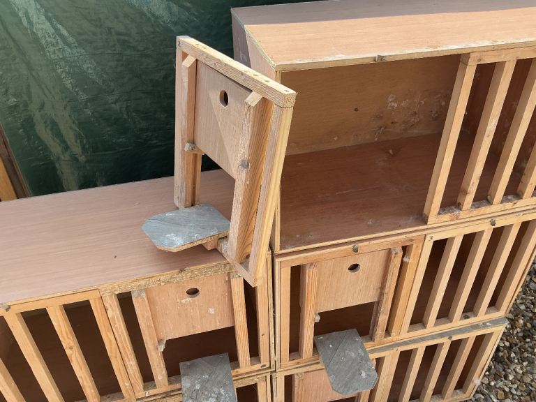 Pigeon nest boxes
