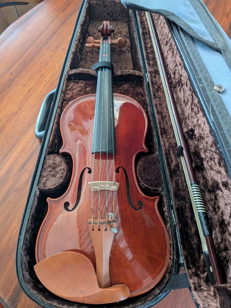 Beginner violin 