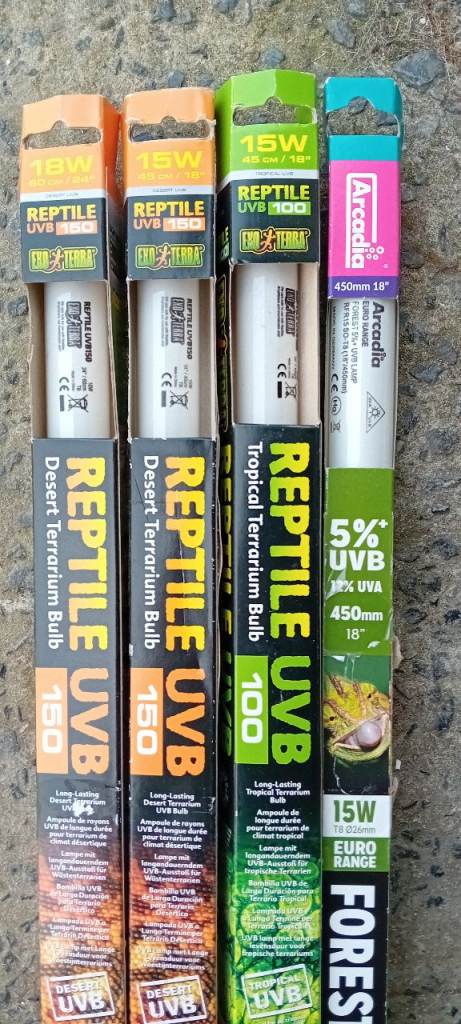 Vivarium/ reptile lights 