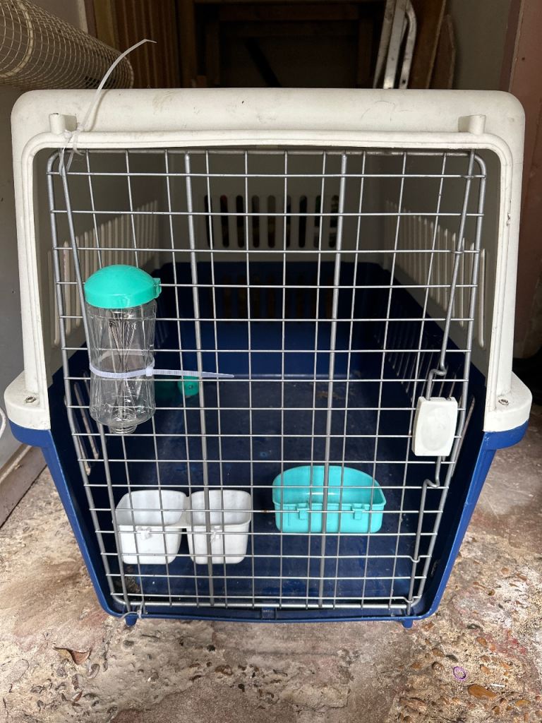 Dog transportation box