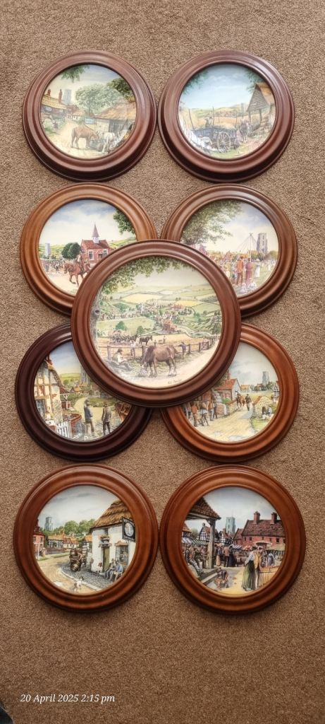 Set of 9 Royal Doulton Plates