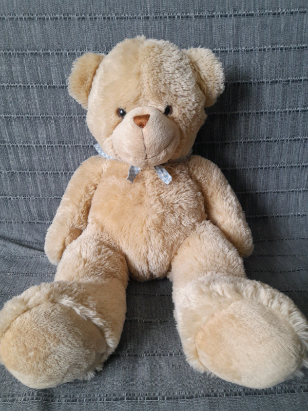Large Teddy