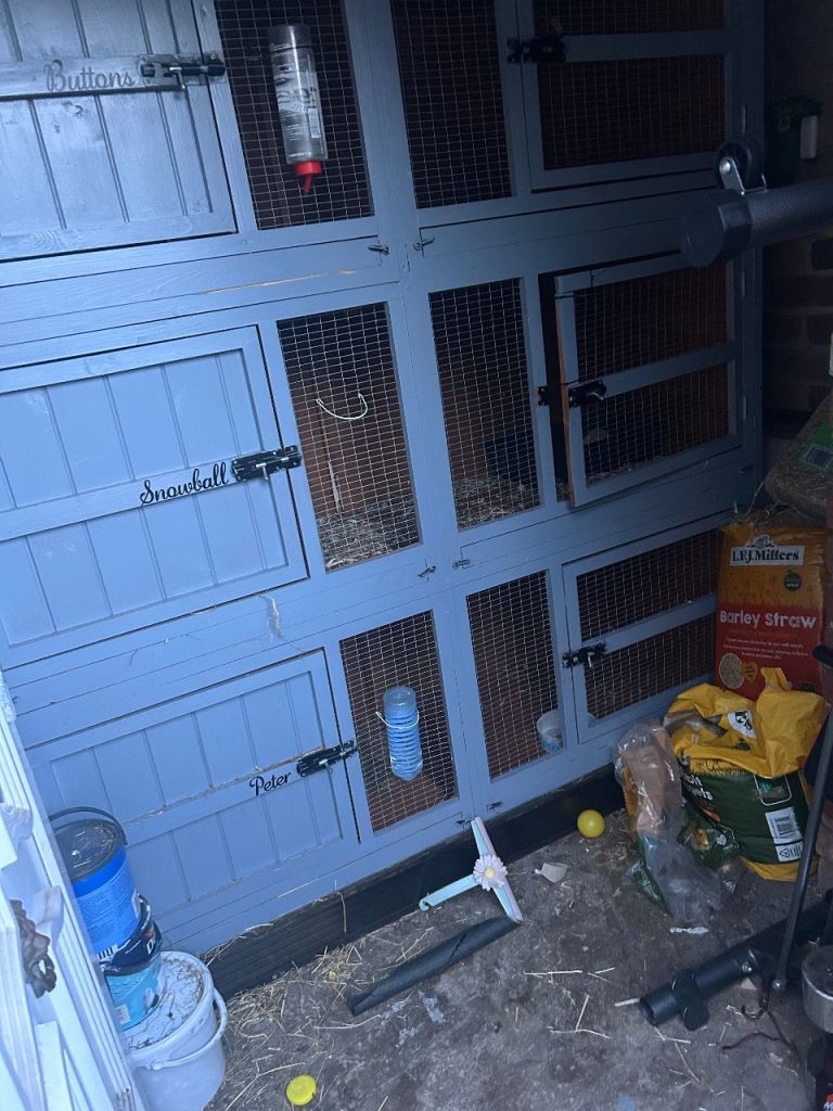 Rabbit hutch