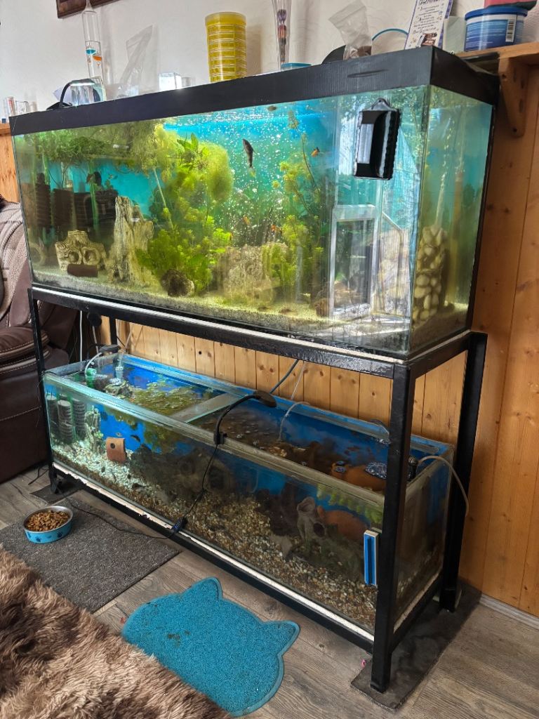 Fish tanks