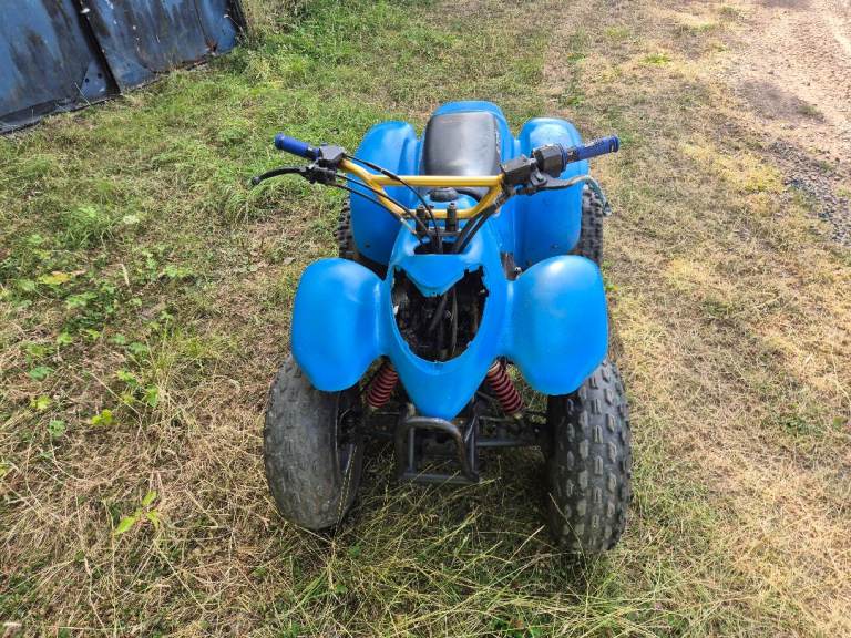 Aeon cobra 100 project