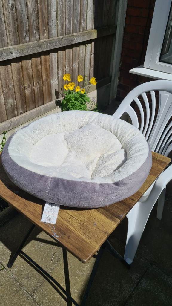 Cat snoozer bed 