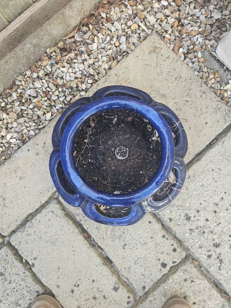 Plant Pots 