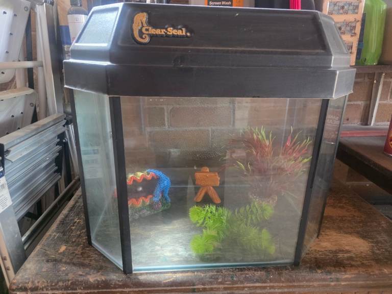 Fish tank Aquarium 