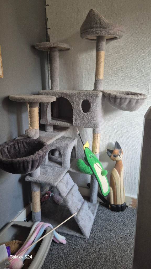 Tall grey cat tower
