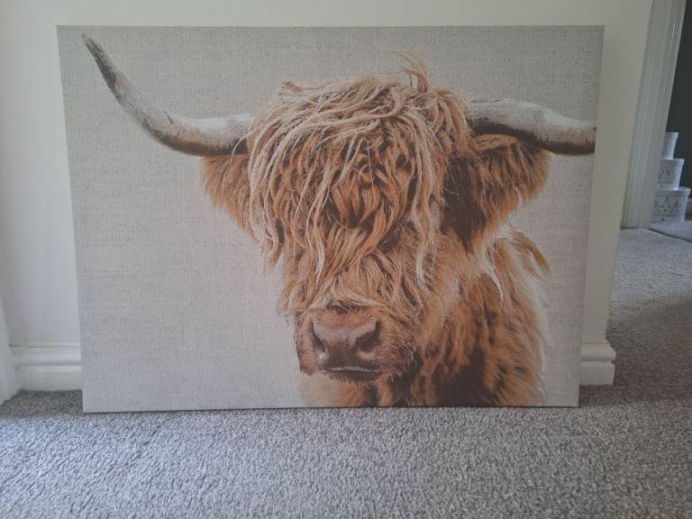 Highland Cow Canvas Print