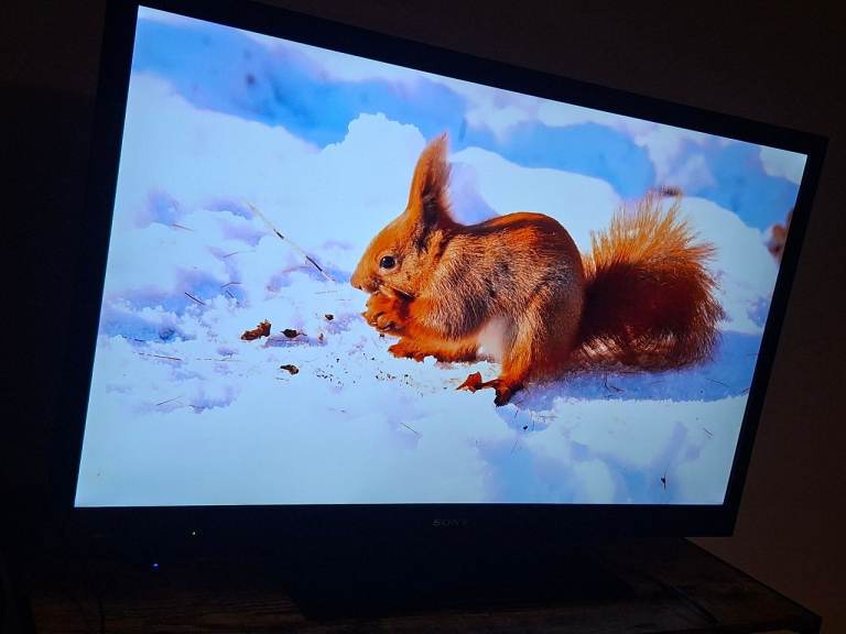 42 inch Sony TV Full HD with Roku device for smart tv streaming